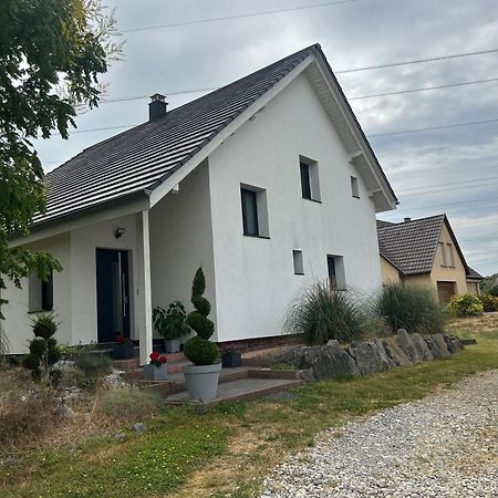 Colmar Cote Rhin Apartamento Biesheim Exterior foto
